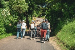 16-bed9cd39-6f2f-4318-8acd-292d6593af17