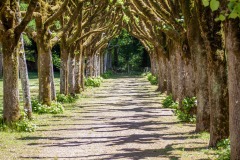 36-81d47ece-a8a5-48a4-a50e-087333f07f7a