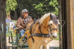 128-DSC_0485
