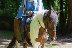 DSC0007