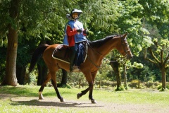 DSC0102