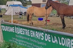 Photo-Patrik.-A-20220908190751-scaled