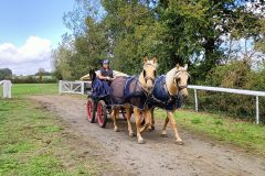 Photo-Patrik.-A-20220909122646-scaled