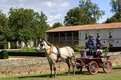 Photo-Patrik.-A-20220909145924-scaled