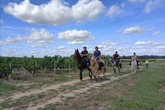 Photo-Patrik.-A-20220910154957-scaled