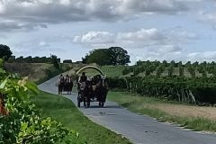 Photo-Patrik.-A-20220910155433-scaled