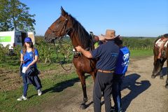 Photo-Patrik.-A-20220911101230_01-scaled