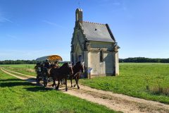 Photo-Patrik.-A-20220911110334-scaled