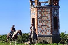 Photo-Patrik.-A-20220911111115_01-scaled