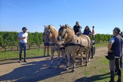 Photo-Patrik.-A-20220911111430-scaled