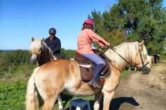 Photo-Patrik.-A-20220911111710-scaled