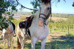 Photo-Patrik.-A-20220911111838-scaled