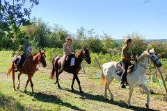 Photo-Patrik.-A-20220911114157-scaled