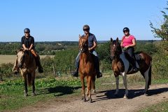Photo-Patrik.-A-20220911114737-scaled