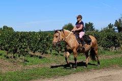 Photo-Patrik.-A-20220911115736-scaled