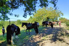 Photo-Patrik.-A-20220911120349-scaled