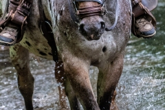 DSC_7863