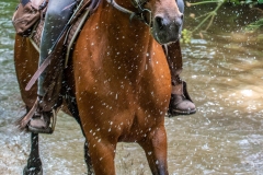 DSC_7877