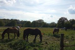 IMG_20230429_183026-scaled