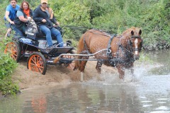 458383020_1012162784036467_6995231514672160563_n