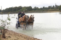 458504571_1012809970638415_5399877941174817449_n