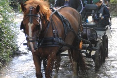 458526431_1012176937368385_1595546832587270986_n