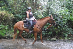 458733013_1012170434035702_8263069756087963082_n