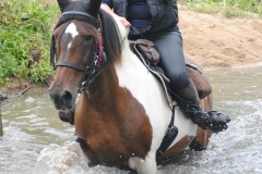 458740746_1012162114036534_5915708002462350689_n