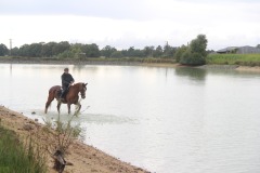 458755228_1012810033971742_4890896553990065210_n