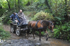 458757513_1012164694036276_8337837854430168422_n