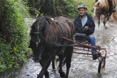 458778466_1012174040702008_8403156604294717494_n