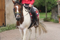 458930710_1012812880638124_7328158746727593988_n