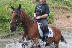 458971454_1012171070702305_9196683749492455262_n