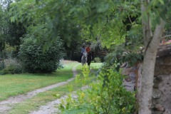 458987555_1012813060638106_8022540830181289988_n