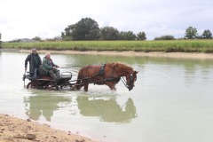 458987864_1012809730638439_6450359268529314212_n