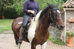 459023620_1012808900638522_6856466211039647441_n