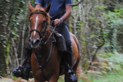 459048830_1012161367369942_8365603738539802417_n