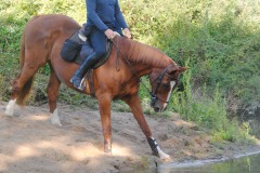 459049426_1012165040702908_7915667495161276877_n