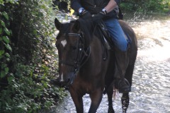 459085417_1012176230701789_2008424678281892536_n