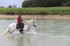 459086415_1012812240638188_6475749675966079741_n