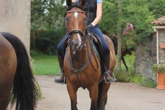 459133832_1012812640638148_6428424165133399059_n