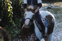 459144349_1012161550703257_8163117837856714356_n