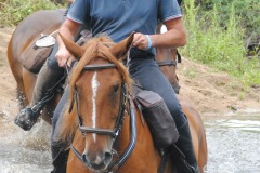 459145537_1012165690702843_2509867971774689855_n