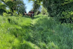 IMG_9565