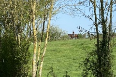 IMG_1180