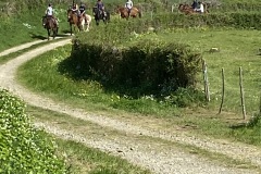 IMG_1267