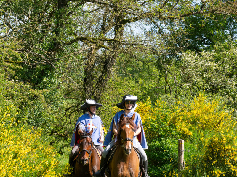 Emprunter la Route d’Artagnan cet été