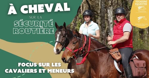 Focus sur la sécurité routière à cheval