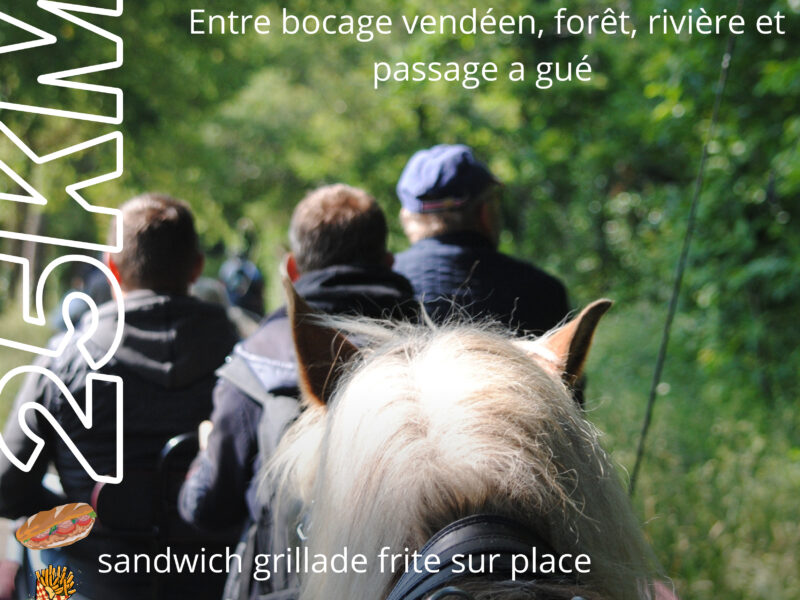 Les Sabots de la Vie vous proposent un rallye monté et attelé