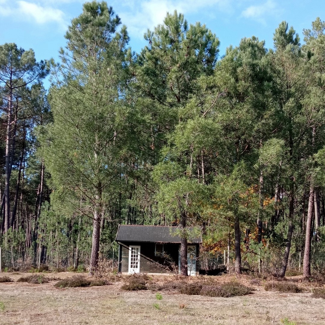 Nouveau projet en forêt de Boudré